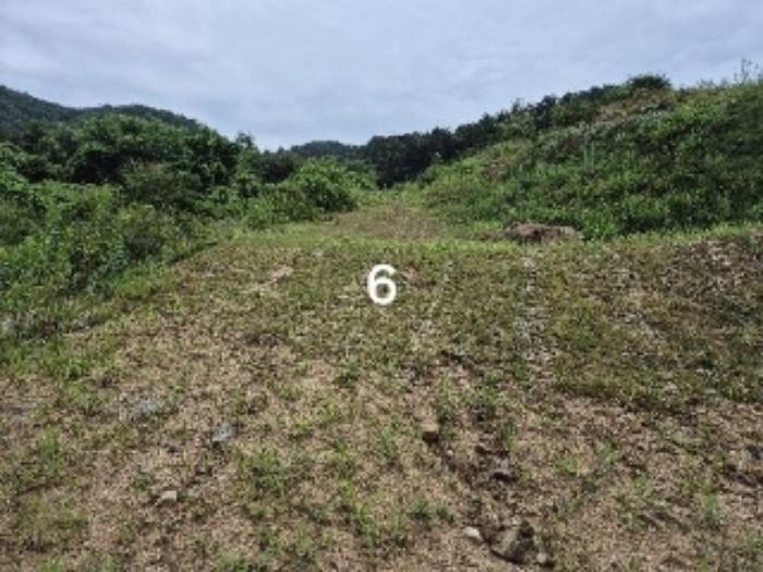 법원경매 2024타경36164 사진22 | 여주시 세종대왕면 신지리 108-11 임야 경매