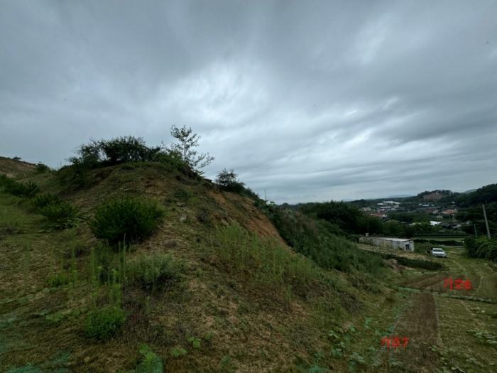 법원경매 2024타경36164 사진4 | 여주시 세종대왕면 신지리 108-11 임야 경매