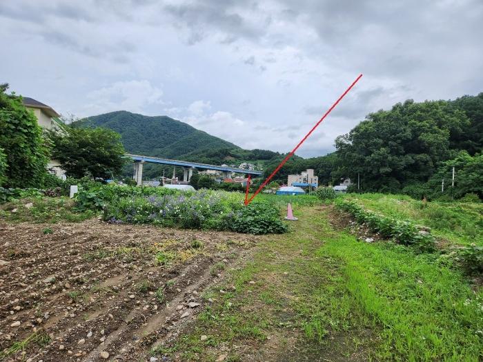 법원경매 2024타경37181 사진3 | 양평군 용문면 답 경매