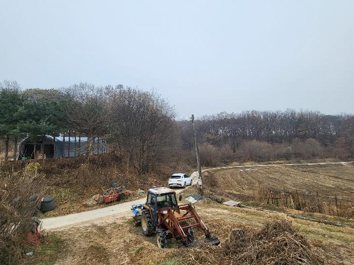 경기도 여주시 세종대왕면 왕대리 산73-6 법원경매 물건 대표사진