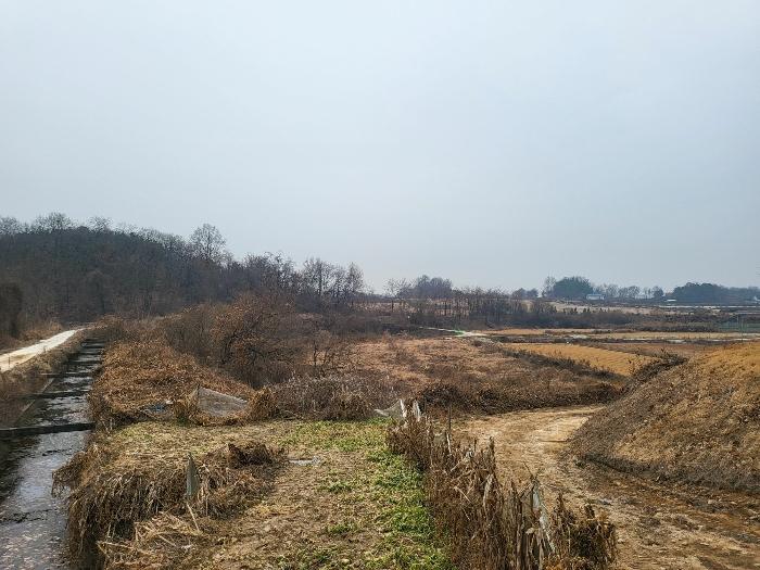 법원경매 2023타경37702 사진16 | 여주시 세종대왕면 왕대리 임야 경매