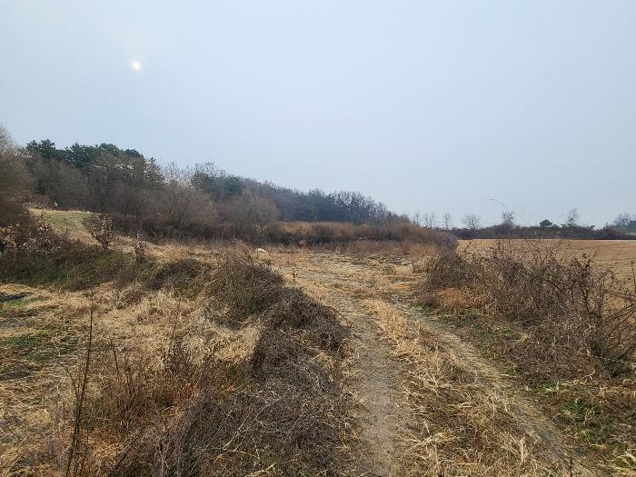 법원경매 2023타경37702 사진8 | 여주시 세종대왕면 왕대리 임야 경매