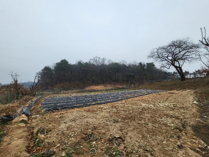 법원경매 2023타경37702 사진9 | 여주시 세종대왕면 왕대리 임야 경매