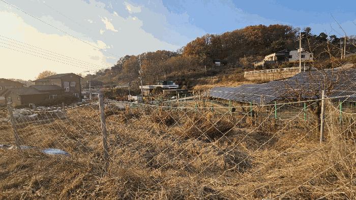 2025타경51953 법원경매 사진3 | 청주 상당구 전 경매