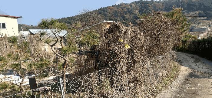 2025타경52003 법원경매 사진3 | 청주 상당구 전 경매