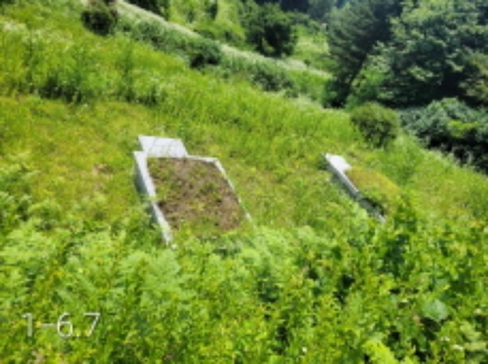 법원경매 2024타경35642 사진17 | 양평군 양서면 도곡리 임야 경매