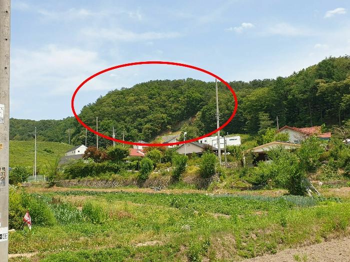 법원경매 2024타경35642 사진6 | 양평군 양서면 도곡리 임야 경매