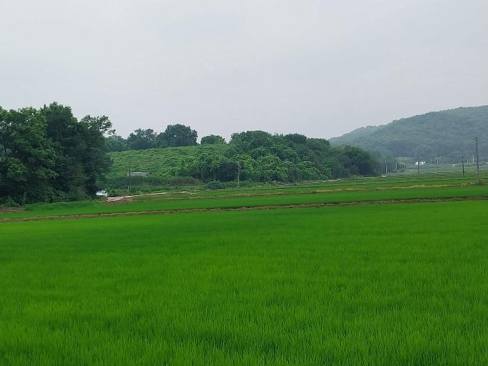 경기도 이천시 부발읍 산촌리 244-44 법원경매 물건 대표사진