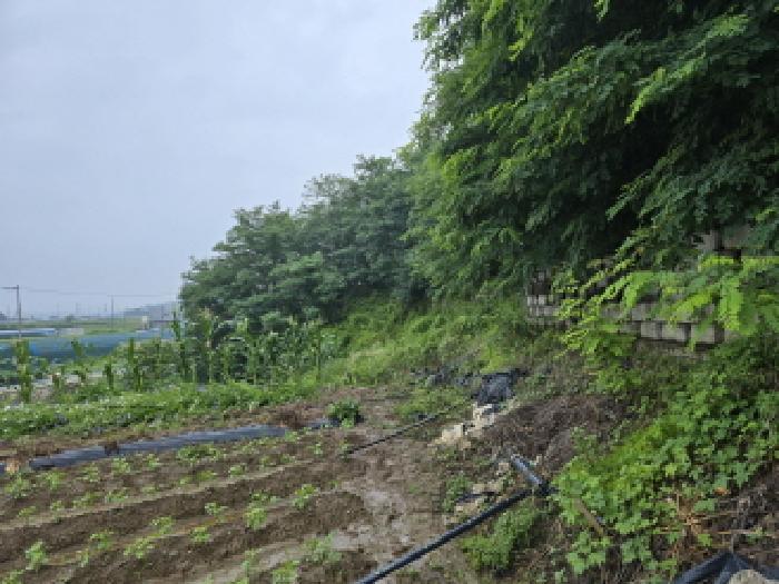 법원경매 2025타경8275 사진7 | 칠곡군 석적읍 남율리 임야 경매