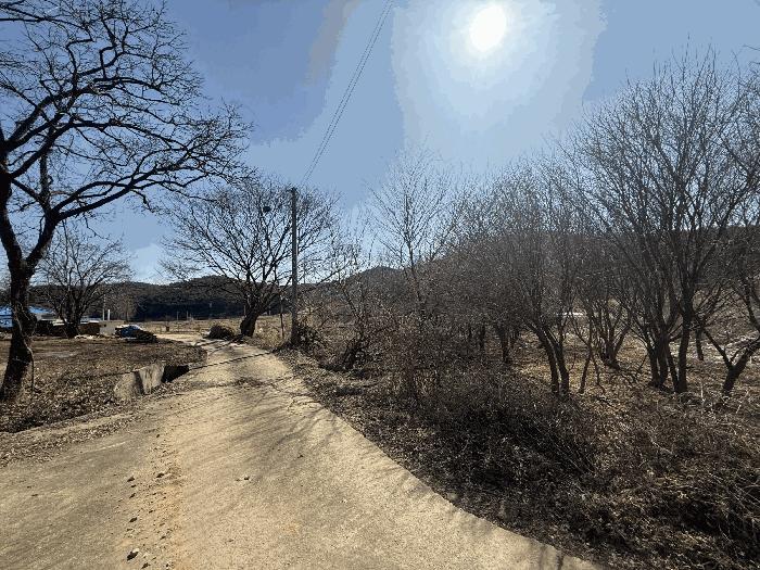충청남도 당진시 석문면 교로리 178 법원경매 물건 대표사진