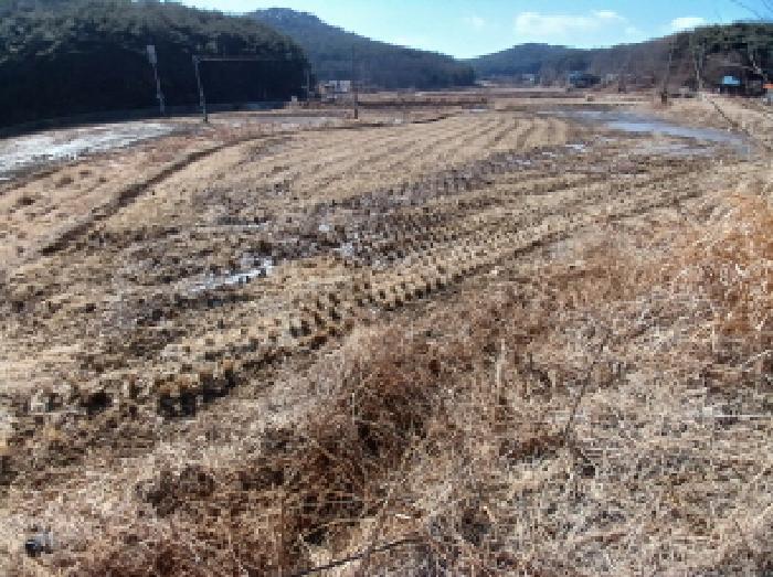 2025타경339 법원경매 사진13 | 충남 당진시 답 경매