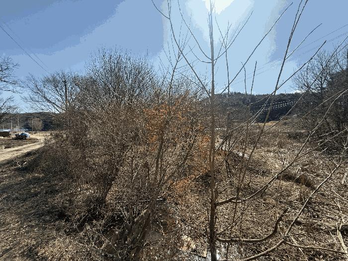 2025타경339 법원경매 사진7 | 충남 당진시 답 경매