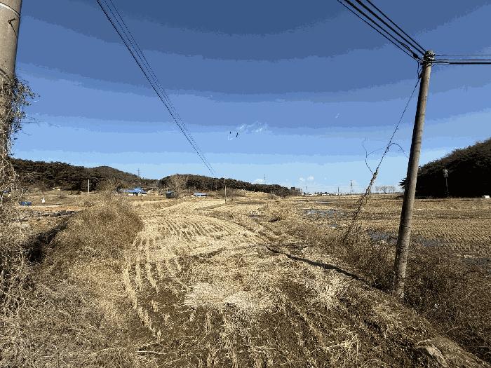 2025타경339 법원경매 사진8 | 충남 당진시 답 경매