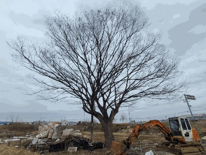 2025타경516 법원경매 사진3 | 충남 당진시 대지 경매
