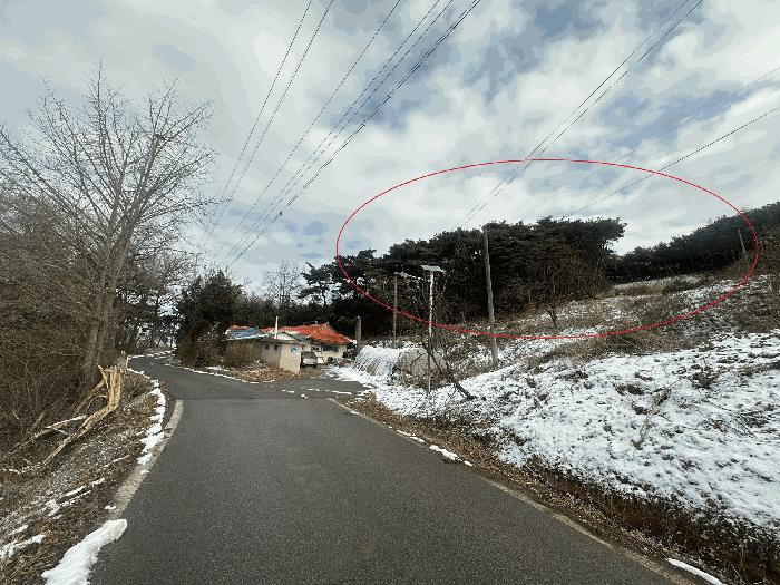 2025타경50013 법원경매 사진2 | 충남 당진시 임야 경매
