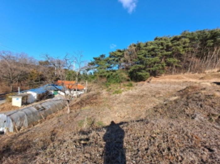 2025타경50013 법원경매 사진20 | 충남 당진시 임야 경매