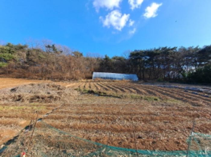 2025타경50013 법원경매 사진27 | 충남 당진시 임야 경매