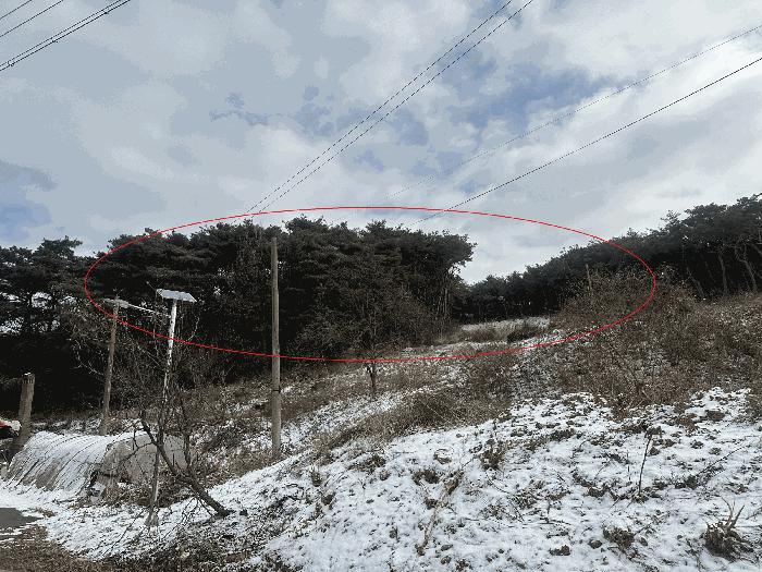 2025타경50013 법원경매 사진4 | 충남 당진시 임야 경매