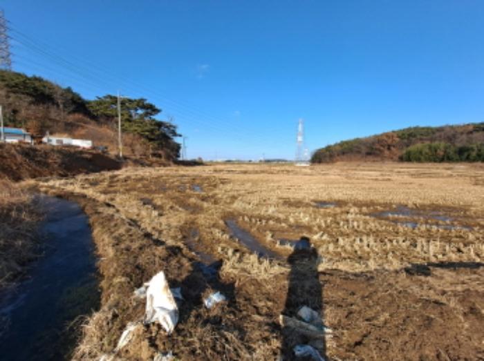 2025타경50013 법원경매 사진8 | 충남 당진시 임야 경매
