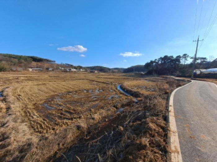 2025타경50013 법원경매 사진9 | 충남 당진시 답 경매
