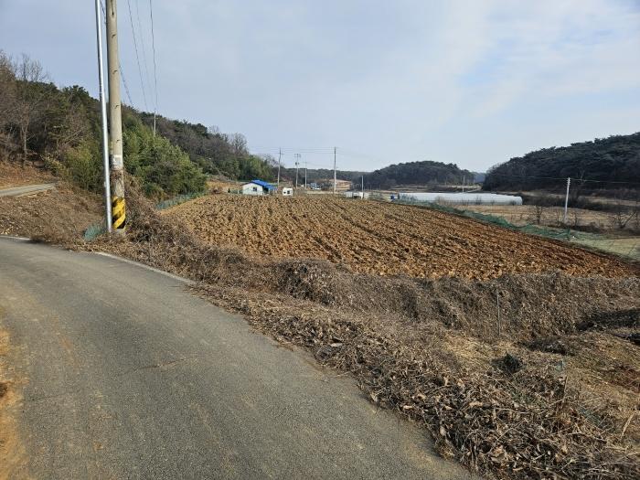 충청남도 당진시 송악읍 오곡리 336-1 법원경매 물건 대표사진