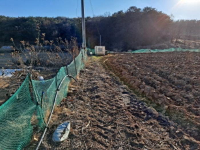 2025타경50020 법원경매 사진12 | 충남 당진시 답 경매