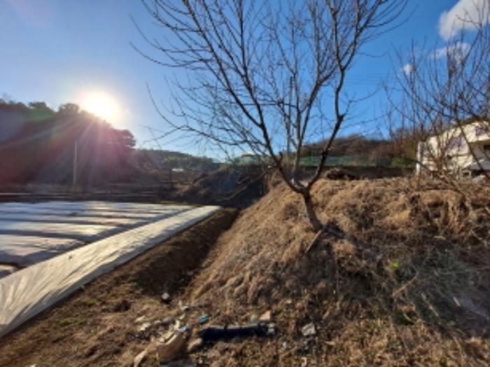 2025타경50020 법원경매 사진14 | 충남 당진시 답 경매