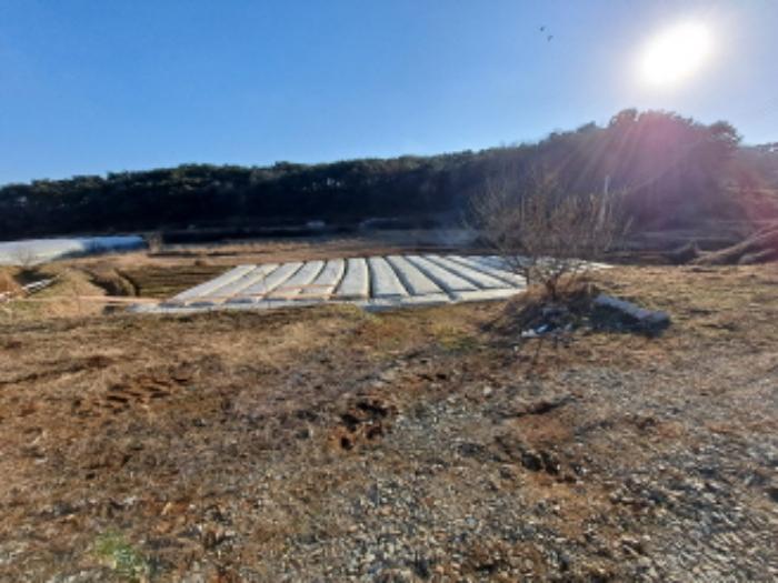 2025타경50020 법원경매 사진5 | 충남 당진시 답 경매