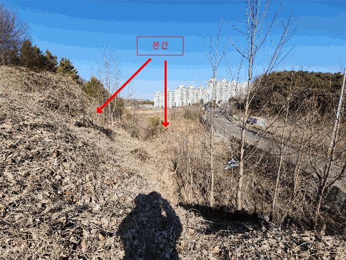 2025타경50980 법원경매 사진6 | 충남 서산시 임야 경매