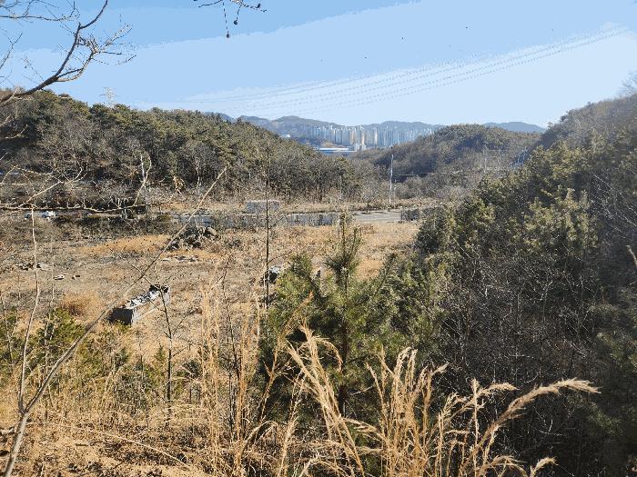 2025타경50980 법원경매 사진7 | 충남 서산시 임야 경매