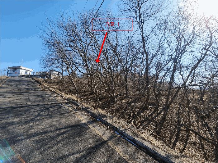 2025타경50980 법원경매 사진9 | 충남 서산시 임야 경매