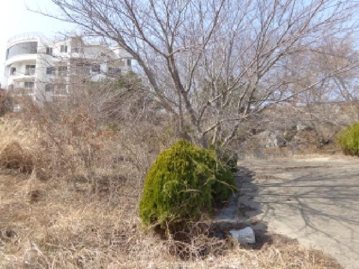 2025타경51064 법원경매 사진10 | 충남 태안군 임야 경매