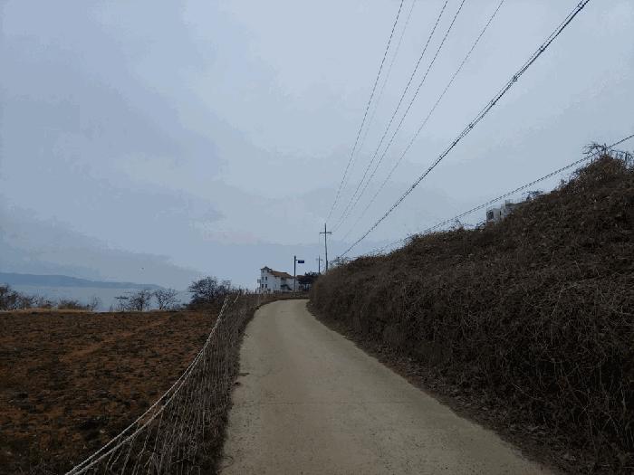 2025타경51064 법원경매 사진2 | 충남 태안군 임야 경매