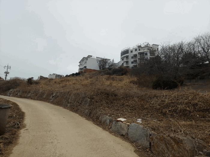 2025타경51064 법원경매 사진5 | 충남 태안군 임야 경매