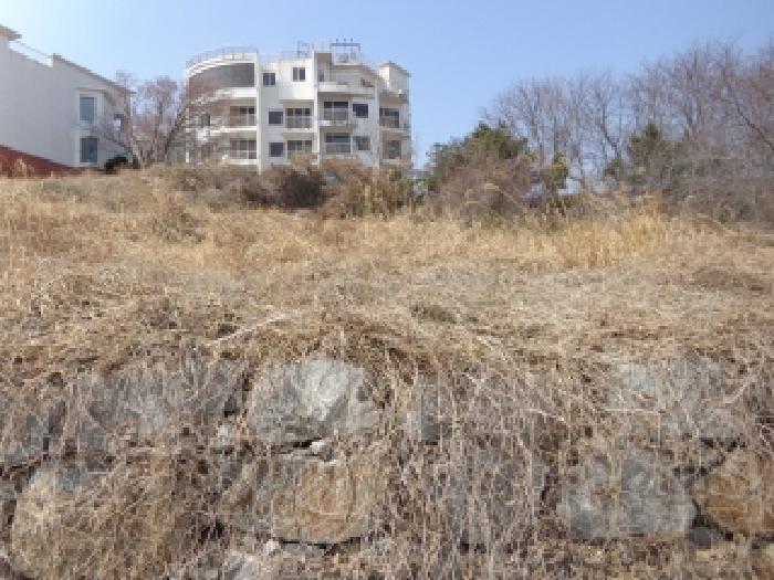 2025타경51064 법원경매 사진8 | 충남 태안군 임야 경매