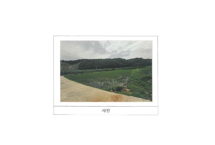 법원경매 2025타경352 사진5 | 김천시 남면 초곡리 569 답 경매