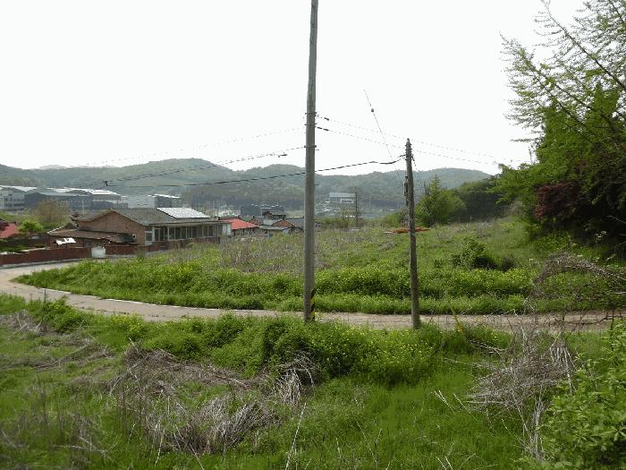 법원경매 2025타경2237 사진3 | 파주시 법원읍 가야리 367 대지 경매