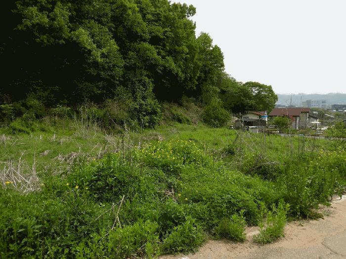 법원경매 2025타경2237 사진5 | 파주시 법원읍 가야리 367 대지 경매