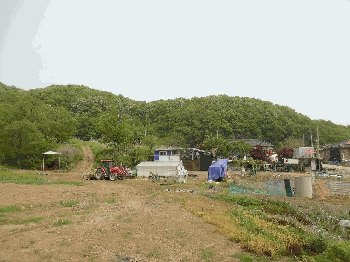 법원경매 2025타경2237 사진8 | 파주시 법원읍 가야리 367 대지 경매