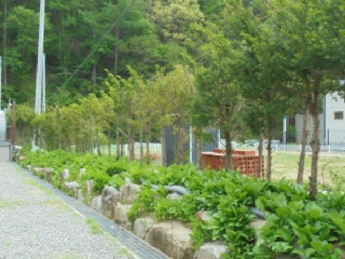 2025타경1736 법원경매 사진19 | 충북 괴산군 기타 경매
