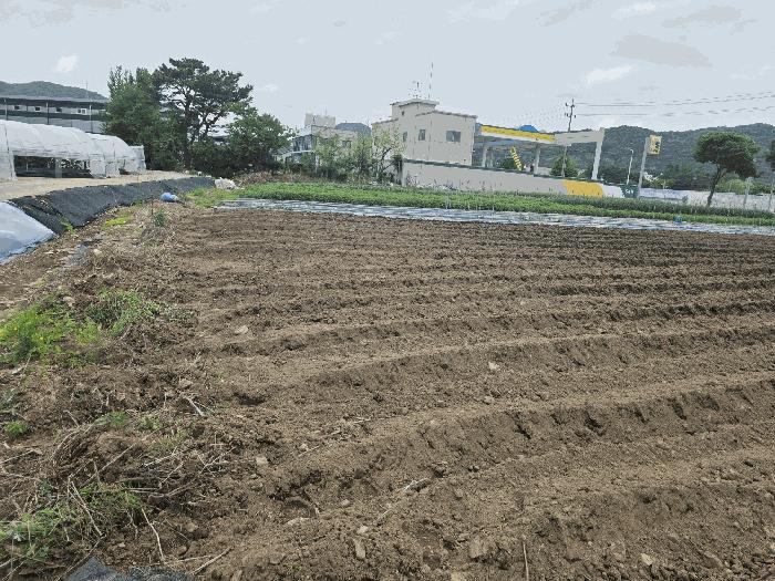 법원경매 2025타경72198 사진2 | 양주시 남면 매곡리 62-2 전 경매