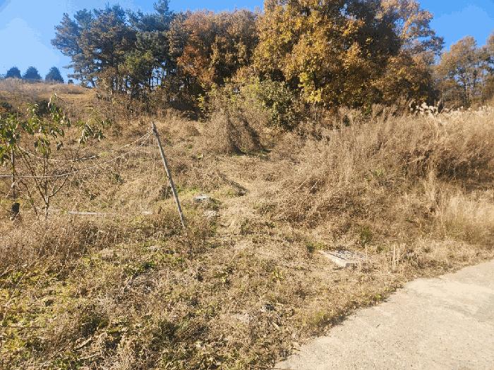 세종특별자치시 연서면 쌍전리 산18-5 법원경매 물건 대표사진