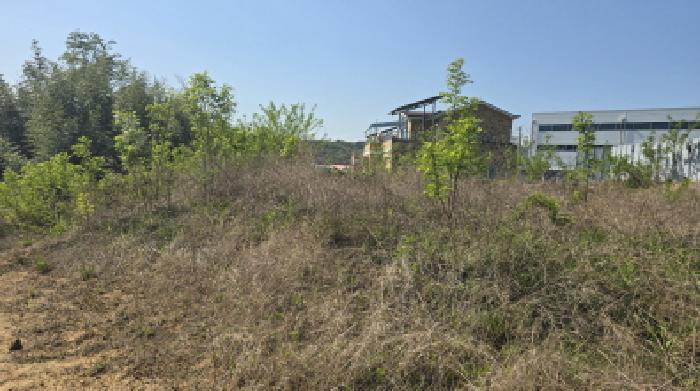 2025타경7659 법원경매 사진7 | 경북 칠곡군 과수원 경매