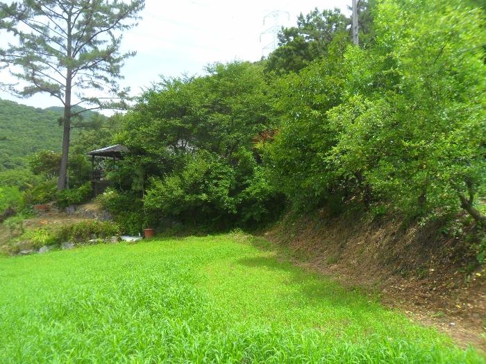 경남 함안군 산인면 모곡리 861 임야 사진 3