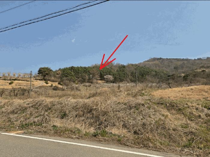 법원경매 2025타경7725 사진2 | 청도군 화양읍 삼신리 임야 경매