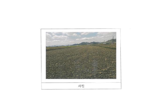 법원경매 2025타경10902 사진2 | 김천시 아포읍 의리 928 답 경매