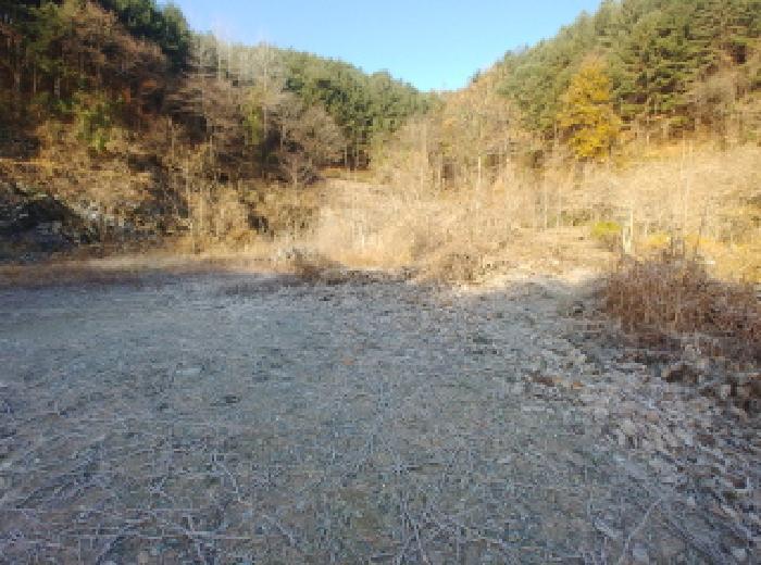 2025타경503797 법원경매 사진16 | 충남 금산군 대지,임야,전답 경매