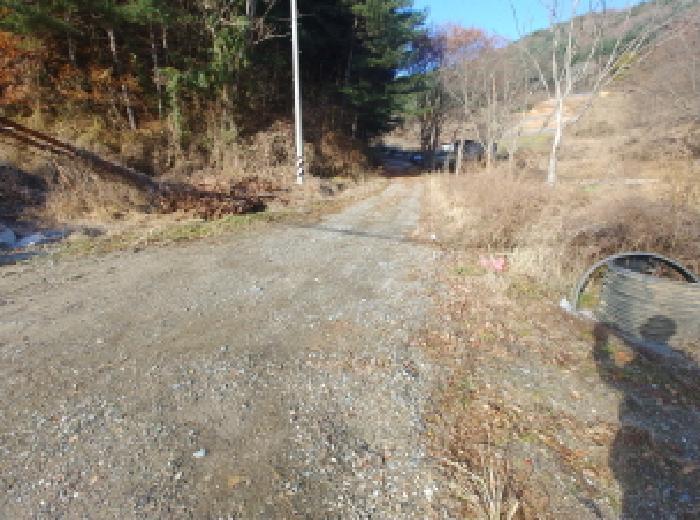 2025타경503797 법원경매 사진19 | 충남 금산군 대지,임야,전답 경매