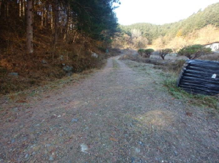 2025타경503797 법원경매 사진20 | 충남 금산군 대지,임야,전답 경매