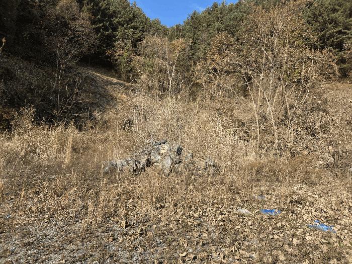 2025타경503797 법원경매 사진3 | 충남 금산군 대지,임야,전답 경매